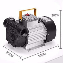 Electric Fuel Transfer Pump Self-Priming Pump & Bypass Valve Oil Fuel Transfer Extractor Fuel Diesel Kerosene 110V 550W Induction Motor High Flow 60L/min 16 GPM for Commercial Use