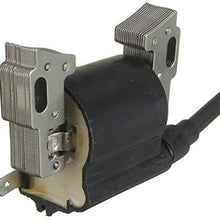 Funnytoday365 Ignition Coil For Briggs & Stratton 398811 395492 398265 Armature Magneto Lawn