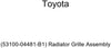 Toyota (53100-04481-B1) Radiator Grille Assembly