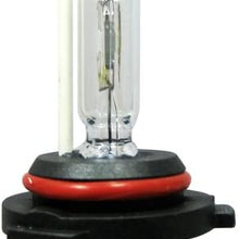 Xentec 9006 6000K HID Xenon Bulb (1 Pair, Ultra White Color)