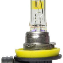 Wagner H11 NightDefense Replacement Bulb, (Pack of 1)