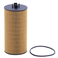 BAIZHIHUA EO-1901 Oil Filter Replaces FL2016 3C3Z-6731-AA P550528 57312 P7235 P7436 LF16166 CH9549 3C3Z6731AB Compatible with Ford F250 F350 F450 F550 Super Duty 6.0L 2003-2007 Excursion 2003-2005