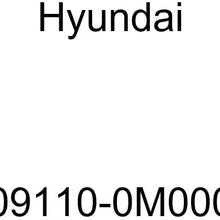 HYUNDAI Genuine 09110-0M000 Jack Assembly