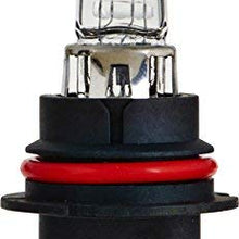 Philips 9004 Standard Halogen Replacement Headlight Bulb, 2 Pack