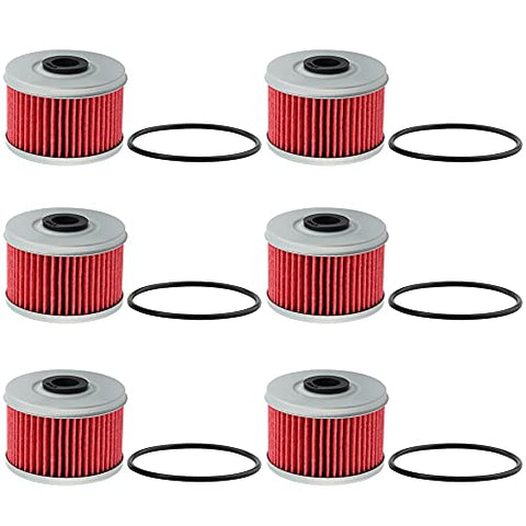 SocketGas 6 pcs HF113 Motorcycle Oil Filter Replacement for TRX250X TRX300EX TRX300FW TRX350D TRX350TM TRX350FM TRX350TE TRX350FE TRX400FW TRX420FE TRX420TE TRX420TM TRX450FM TRX450FE TRX500