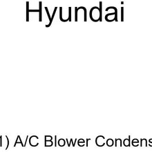 Genuine Hyundai (97730-24701) A/C Blower Condenser Assembly