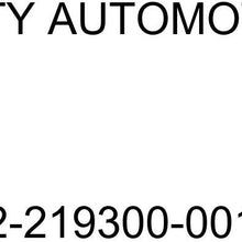 Unity Automotive 2-219300-001 Quick Complete Strut Assembly Kit (Front Pair)
