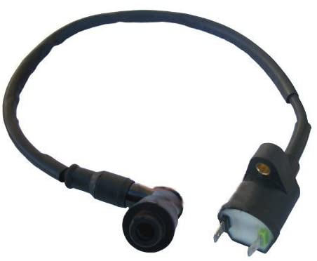 New Ignition Coil Compatible with Honda TRX 300 TRX300 FourTrax 1988 1989 1990 1991 1992 1993 1994 1995 1996 1997 1998 1999 200