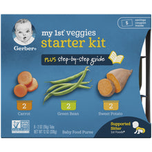 Gerber 1st Foods My 1st Veggies Baby Food Starter Kit, 2 Oz Tubs, 6 Count (Pack of 2)