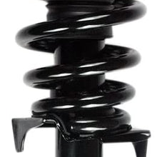 FCS 3335797R Complete Strut Assembly