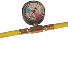 ENVIRO-SAFE R134a Replacement w/Dye Stop Leak & Gauge Kit #RSG-4