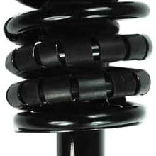 FCS 1336316 Complete Strut Assembly