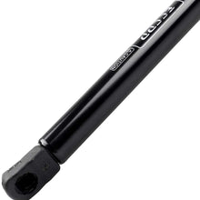 FEIPARTS Struts Gas Spring Fit for 2013-2016 Toyota Avalon 2012-2016 Toyota Camry Front Hood Lift Supports