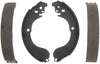 Raybestos 919PG Professional Grade Drum Brake Shoe Set