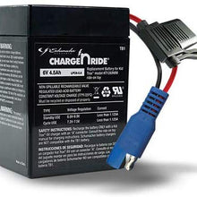 Schumacher TB1 4.5Ah 6V Rechargeable Replacement Battery for Kid Trax Ride-On Toys