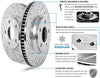 Power Stop AR83088XPR Rear Evolution Drilled & Slotted Rotor Pair