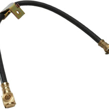 Raybestos BH38349 Professional Grade Hydraulic Brake Hose