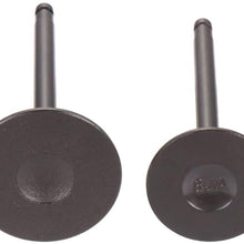 ECCPP 24pcs Engine Intake and Exhaust Valves Kit Fit for for Nissan 350Z Altima Maxima Murano NV1500 NV2500 Xterra for Suzuki Equator for Infiniti FX35 G35 I35 M35 QX4 QX56 EM10213 IM1012
