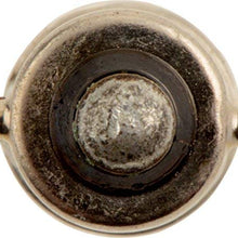 Philips 1891 LongerLife Miniature Bulb, 2 Pack