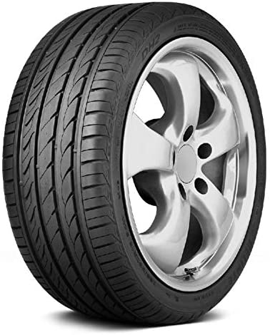 Delinte Dh2 All-Season Radial Tire - 195/65R15 91H