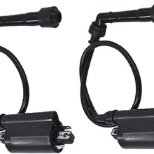 labwork Set of 2 Ignition Coils Fit for Kawasaki Ninja 500 500R EX500D EX500A