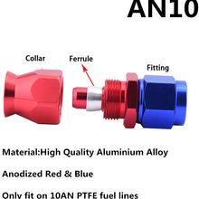 EVIL ENERGY 10AN Straight PTFE E85 Hose End Oil Fuel Line Fitting Adapter RED&BLUE
