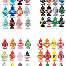 Little Trees Air Fresheners Classic Original Scents 6 pack (Random6)