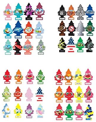 Little Trees Air Fresheners Classic Original Scents 6 pack (Random6)