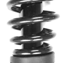 FCS 1336332 Complete Strut Assembly