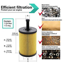 Oil Filter for Audi A3 Quattro, A3, TT, TT Quattro / VW Beetle CC Eos Golf Jetta Passat Replace Mann Filter HU 719/7 X Metal-Free 071115562C