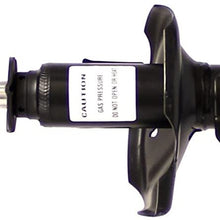 Monroe Shocks & Struts OESpectrum 72448 Suspension Strut