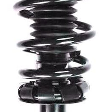 FCS 1345401 Complete Strut Assembly