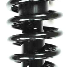 FCS 1336324 Complete Strut Assembly