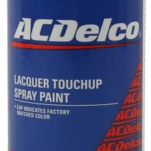 ACDelco 19354974 Automotive Paint, 1 Pack