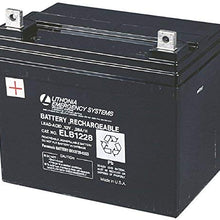 Lithonia Lighting ELB 1228 Lead Calcium Replacement Battery, 12-Volt