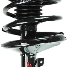 FCS 1332363L Complete Strut Assembly