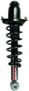 FCS 1345404R Complete Strut Assembly