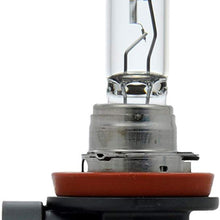 SYLVANIA H11 Basic Halogen Headlight Bulb, (Contains 1 Bulb)