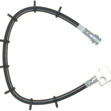 Raybestos BH38636 Professional Grade Hydraulic Brake Hose
