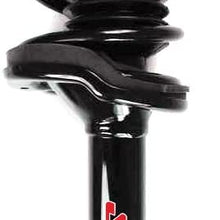 FCS 1336313 Complete Strut Assembly