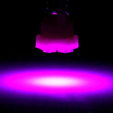 cciyu T10 194 168 Instrument Gauge Panel LED Light Bulb Pink 4-3528-SMD With Twist Lock Sockets,10Pack