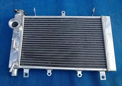 New 3 Row Aluminum Alloy Radiator For TRIUMPH TT600 2000-2003 2001 2002 2003