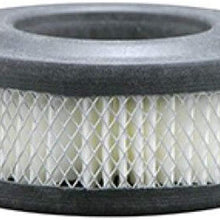 Baldwin PA1704 Industrial Air Element