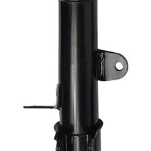 AOKAILI Rear Shock Absorber Struts & Spring Kit