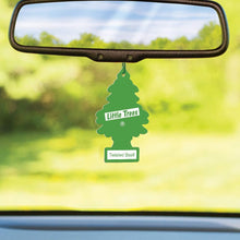 LITTLE TREES Car Air Freshener | Hanging Tree Provides Long Lasting Scent for Auto or Home | Twisted Basil, 6-packs (4 count)