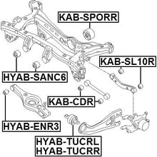 554482B100 - Arm Bushing (for Differential Mount) For Hyundai/Kia - Febest