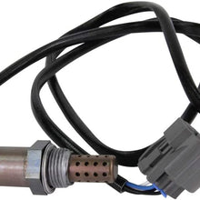 TAMKKEN Oxygen O2 Sensor Lambda Sensor Downstream Replaces 234-4797 for Acura TSX CL Honda Accord Prelude Selected 1995 1996 1997 1998 1999 2000 2001 2002 2003 2004 2005 2006 2007 2008