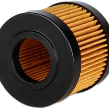 Castrol CAS10075 20,000 Mile Premium Synthetic Oil Filter
