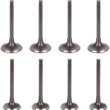 cciyu Engine Intake & Exhaust Valves Kit fit for 98-05 for Volkswagen Beetle 93-06 for Volkswagen Golf 93-05 for Volkswagen Jetta 95-96 for Volkswagen Passat Intake 037-109-611B 8pcs