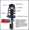 DTA 60066 Rear Complete Strut Assemblies With Springs and Mounts Ready to Install OE Replacement -2-pc Pair, Corolla, Prizm